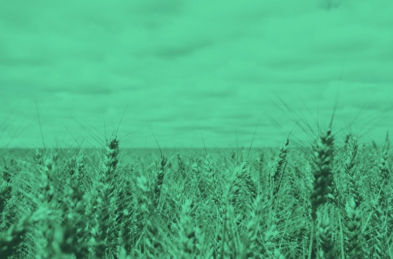 AGRICULTURA